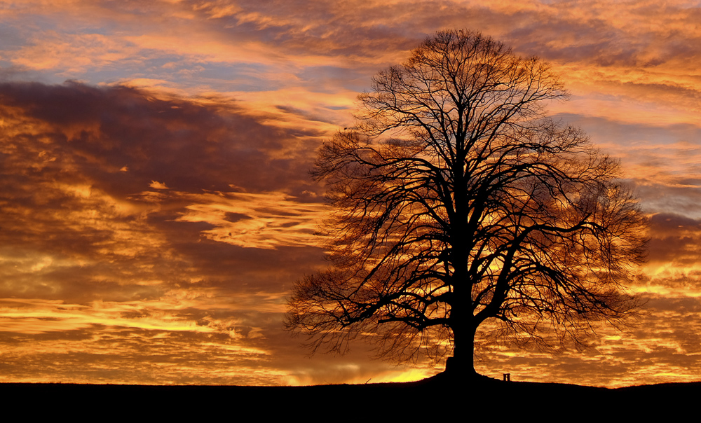 Platz 5 Peter Marion